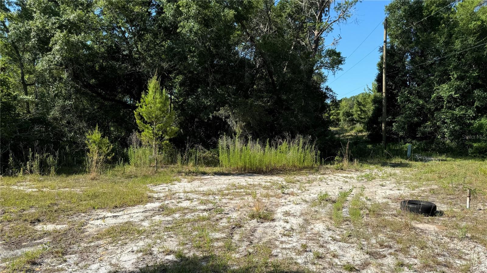 8045 NE 307TH AVE, FORT MC COY, FL — photo 2