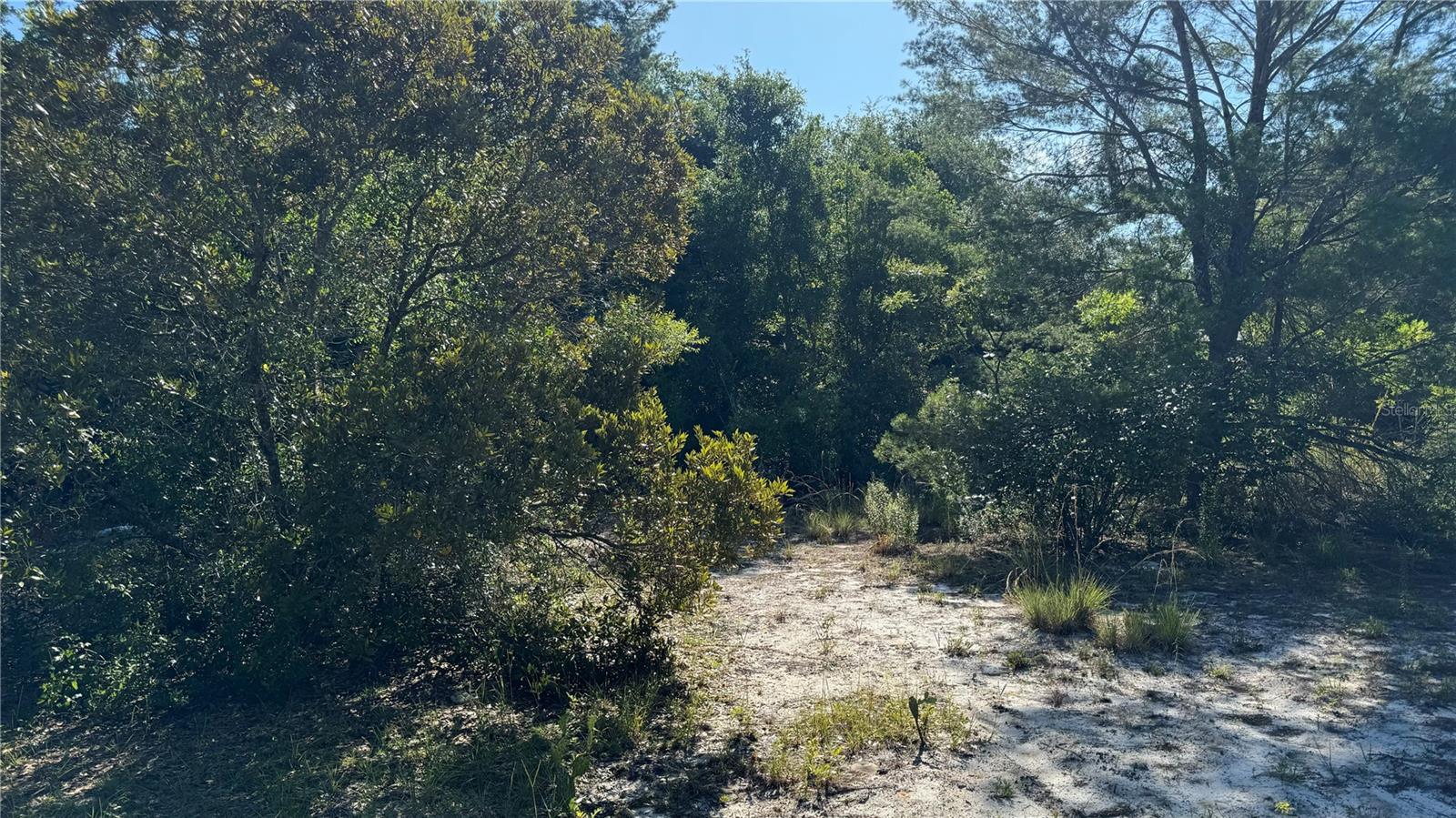 8045 NE 307TH AVE, FORT MC COY, FL — photo 4