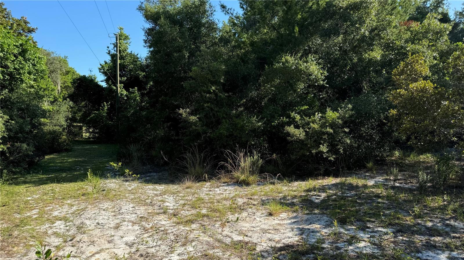 8045 NE 307TH AVE, FORT MC COY, FL — photo 5