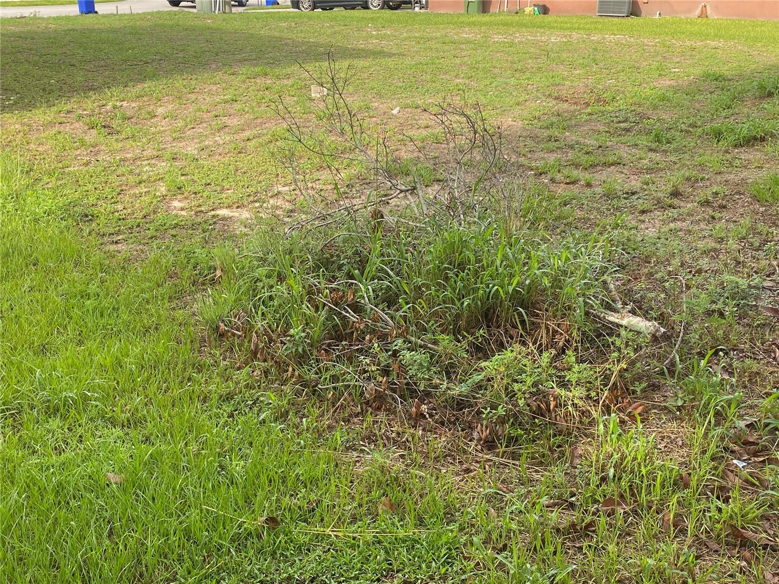1304 SALISBURY DR, WINTER HAVEN, FL — photo 3