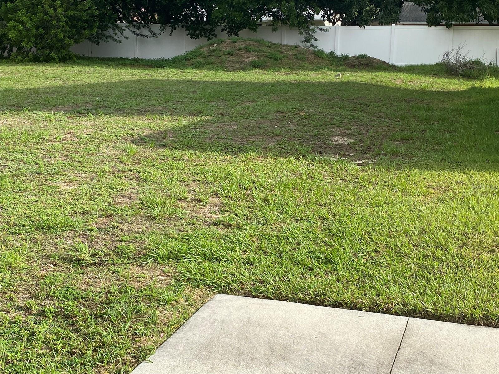 1304 SALISBURY DR, WINTER HAVEN, FL — photo 4