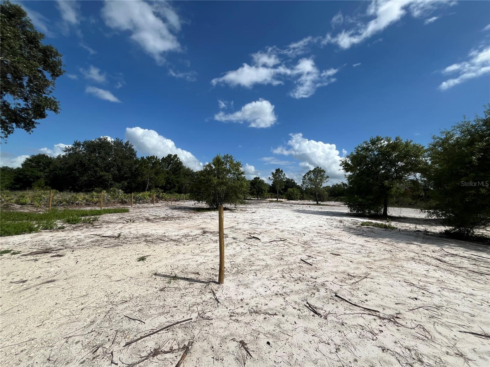 16916 NW 262ND ST, OKEECHOBEE, FL — photo 2
