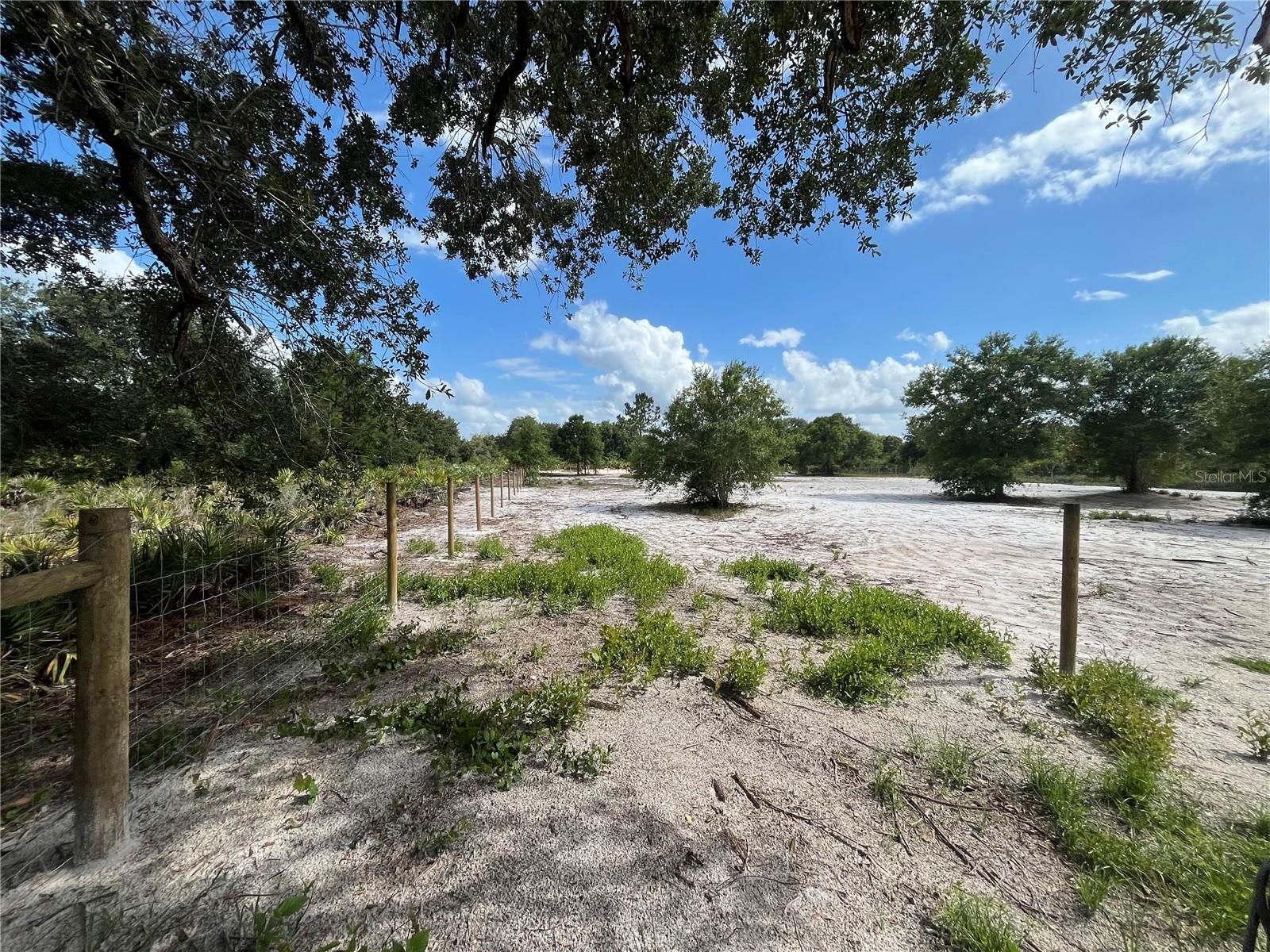 16916 NW 262ND ST, OKEECHOBEE, FL — photo 4