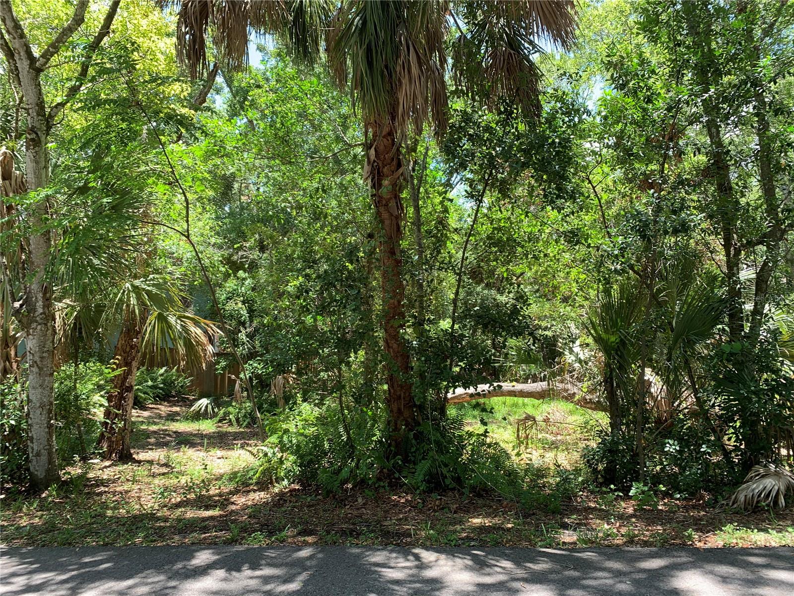 CENTER AVE, TARPON SPRINGS, FL