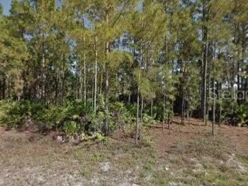 461 LACKEY AVE S, LEHIGH ACRES, FL