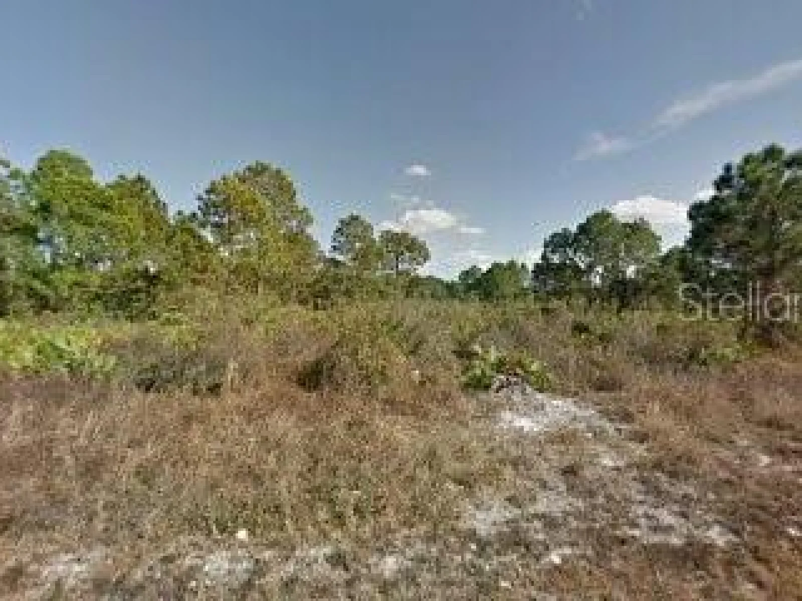 241 NANCY AVE S, LEHIGH ACRES, FL — photo 1