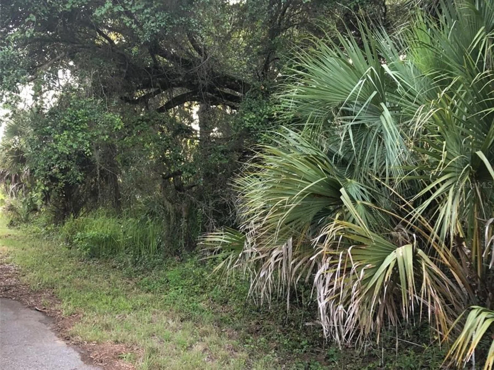 CARMELIA ST, NORTH PORT, FL — photo 2