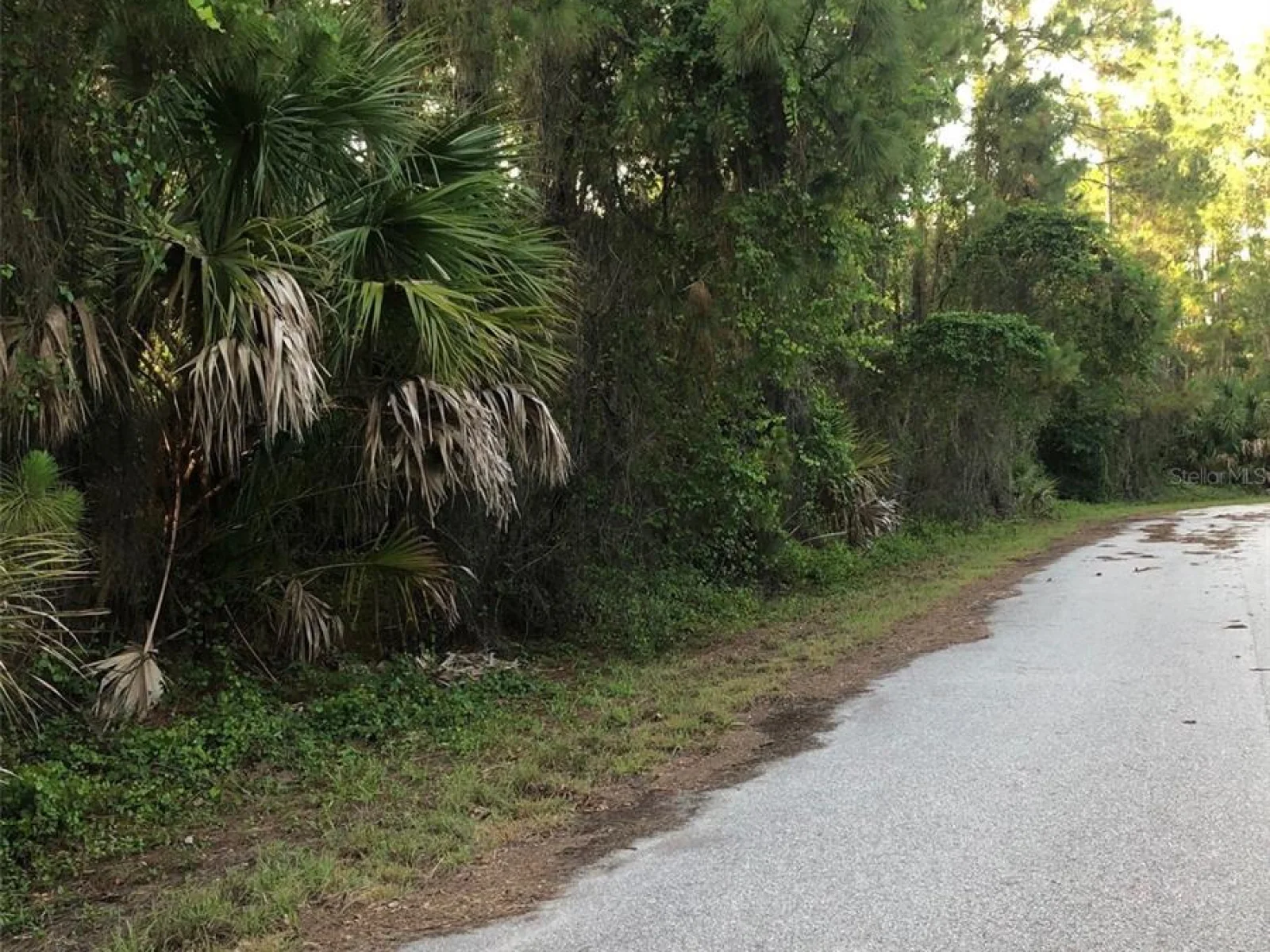 CARMELIA ST, NORTH PORT, FL — photo 3