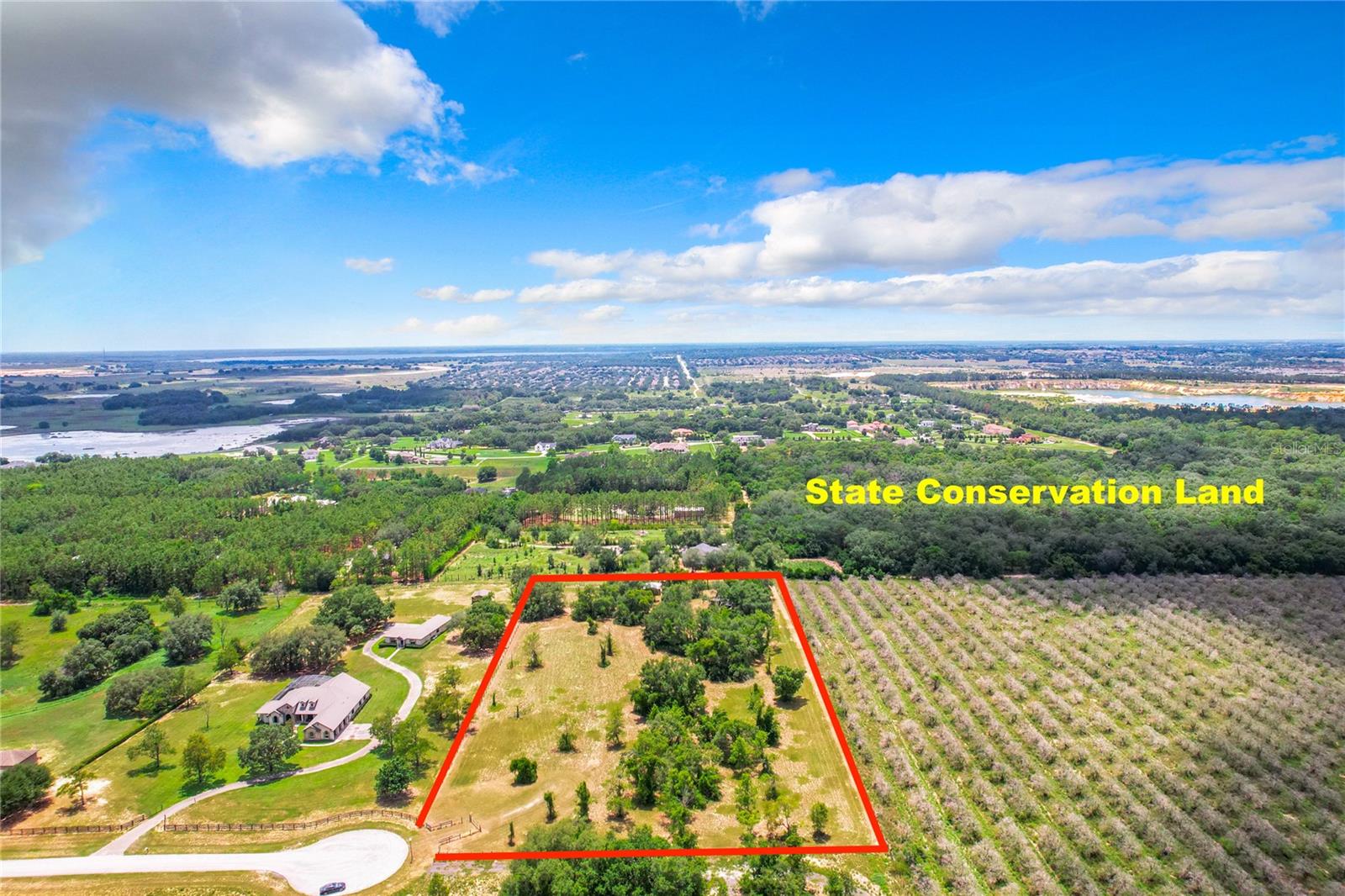 10133 COLT LN, WINTER GARDEN, FL