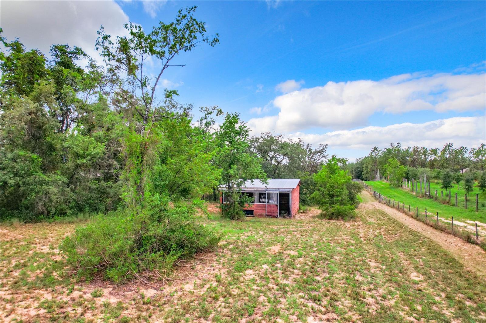 10133 COLT LN, WINTER GARDEN, FL — photo 21