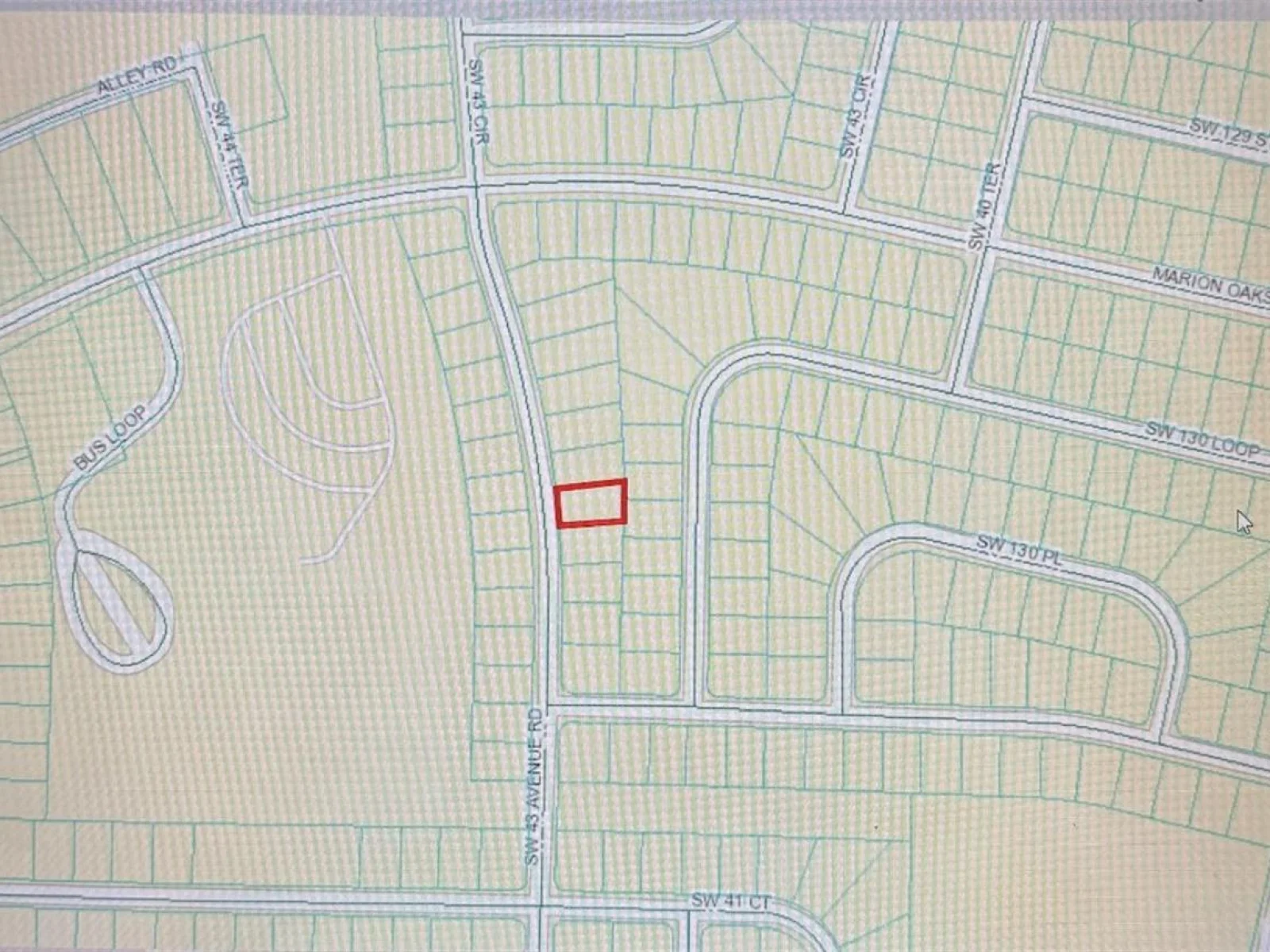 TBD SW 43 AVENUE RD, OCALA, FL — photo 4