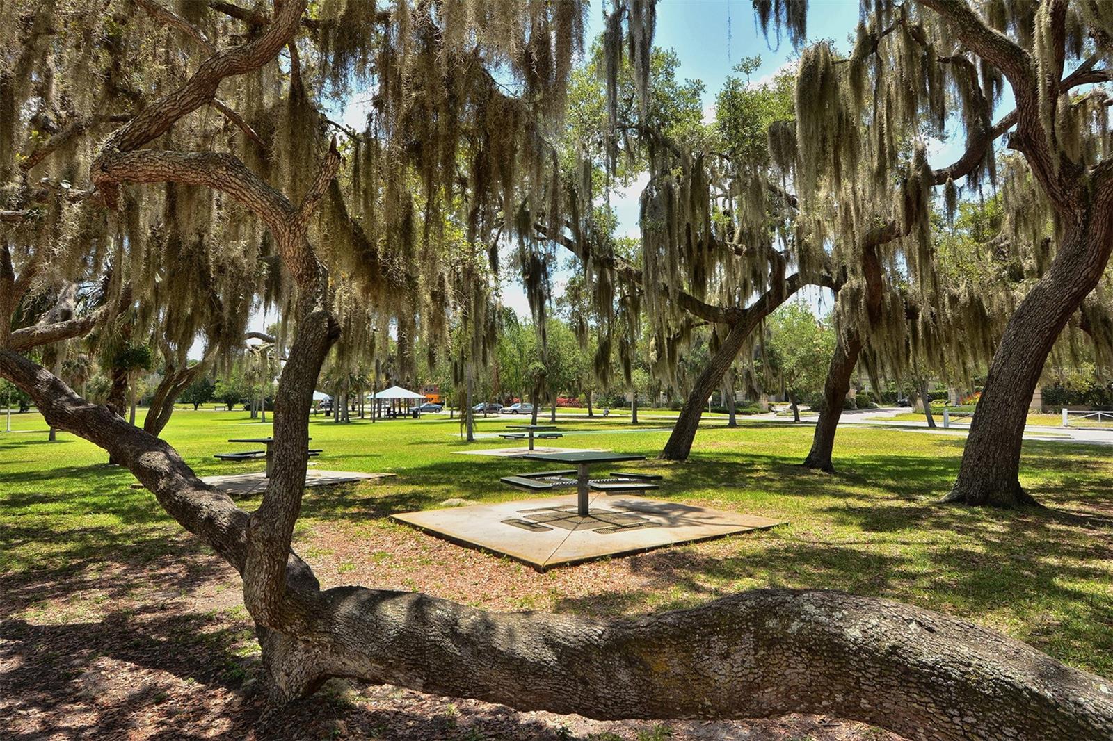 1064 N TAMIAMI TRL #1627, SARASOTA, FL — photo 61
