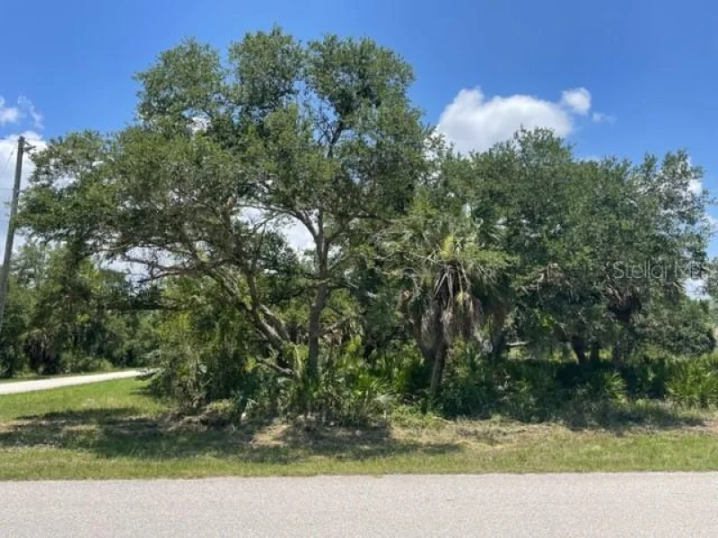 17130 ALVIN AVE, PORT CHARLOTTE, FL