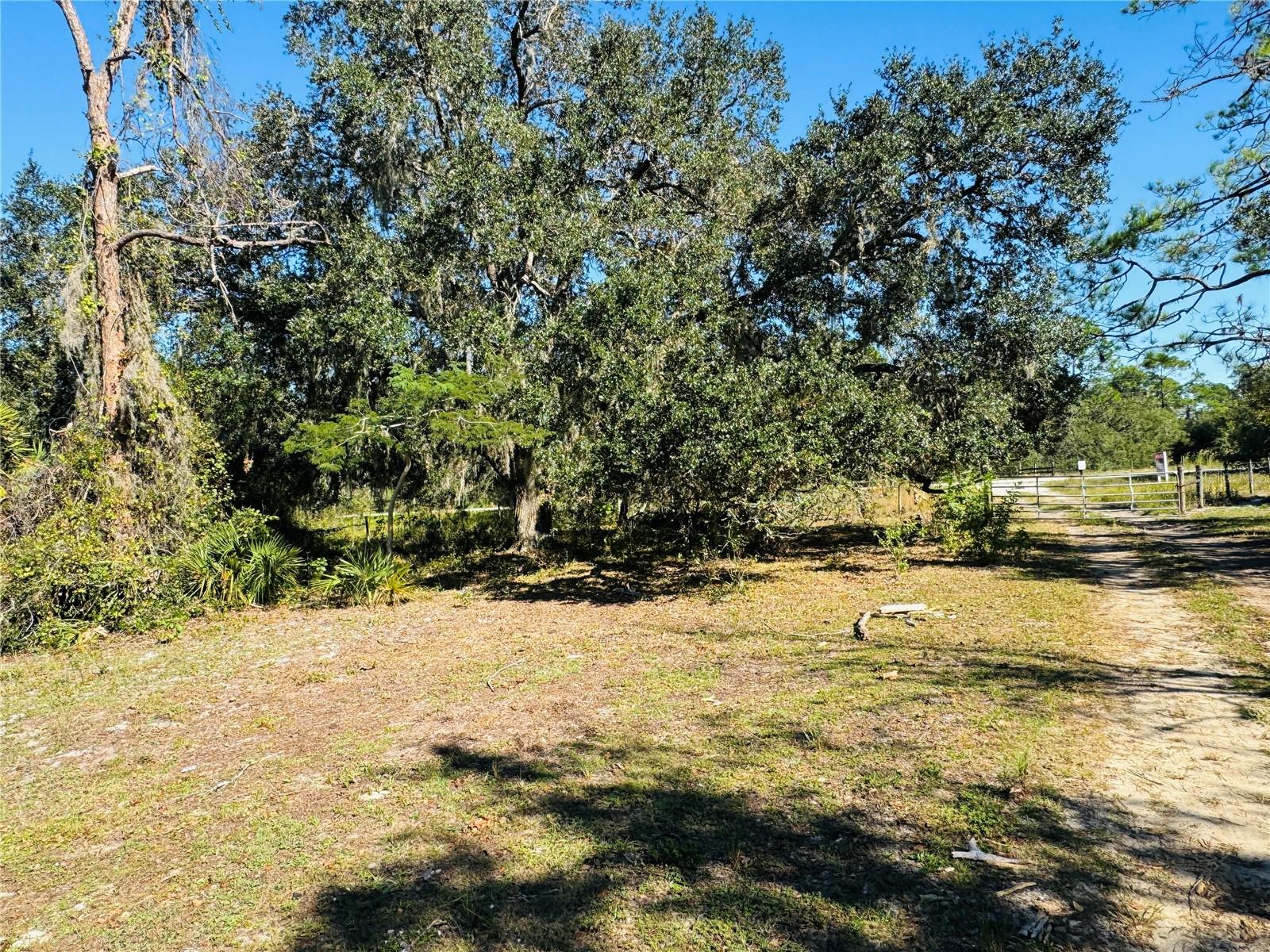 5525 SPARTA RD, SEBRING, FL — photo 23