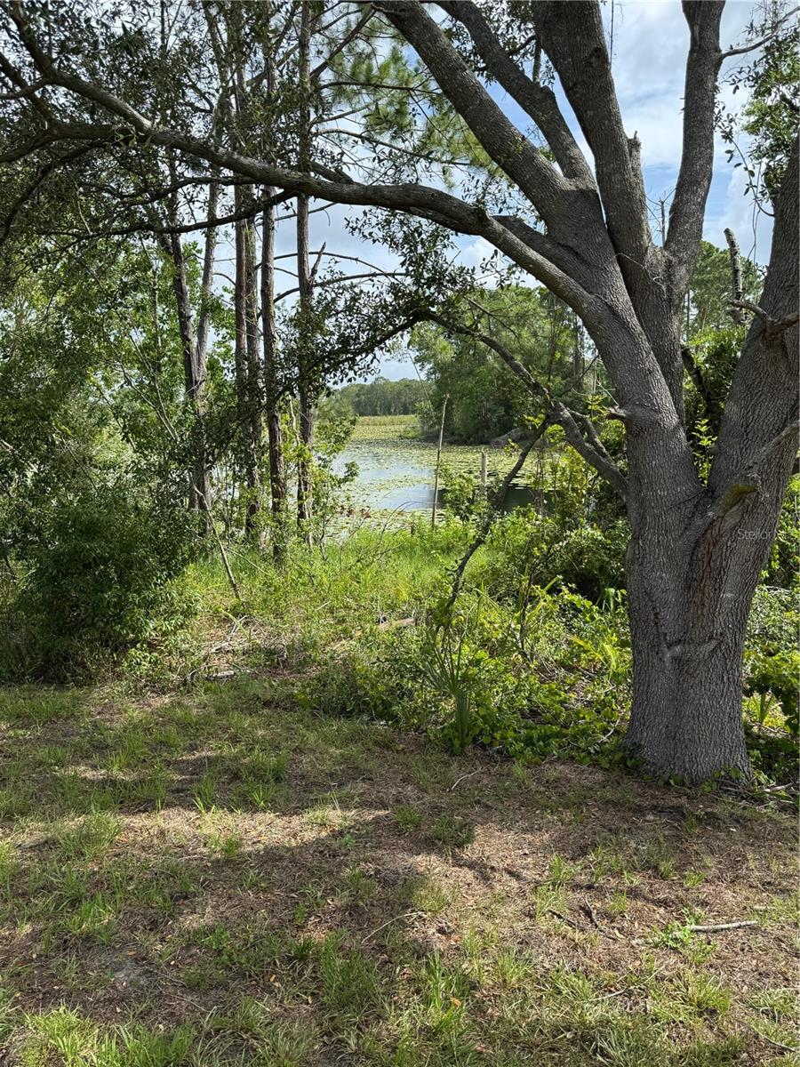 1780 CONVERSE CT, DELTONA, FL — photo 7
