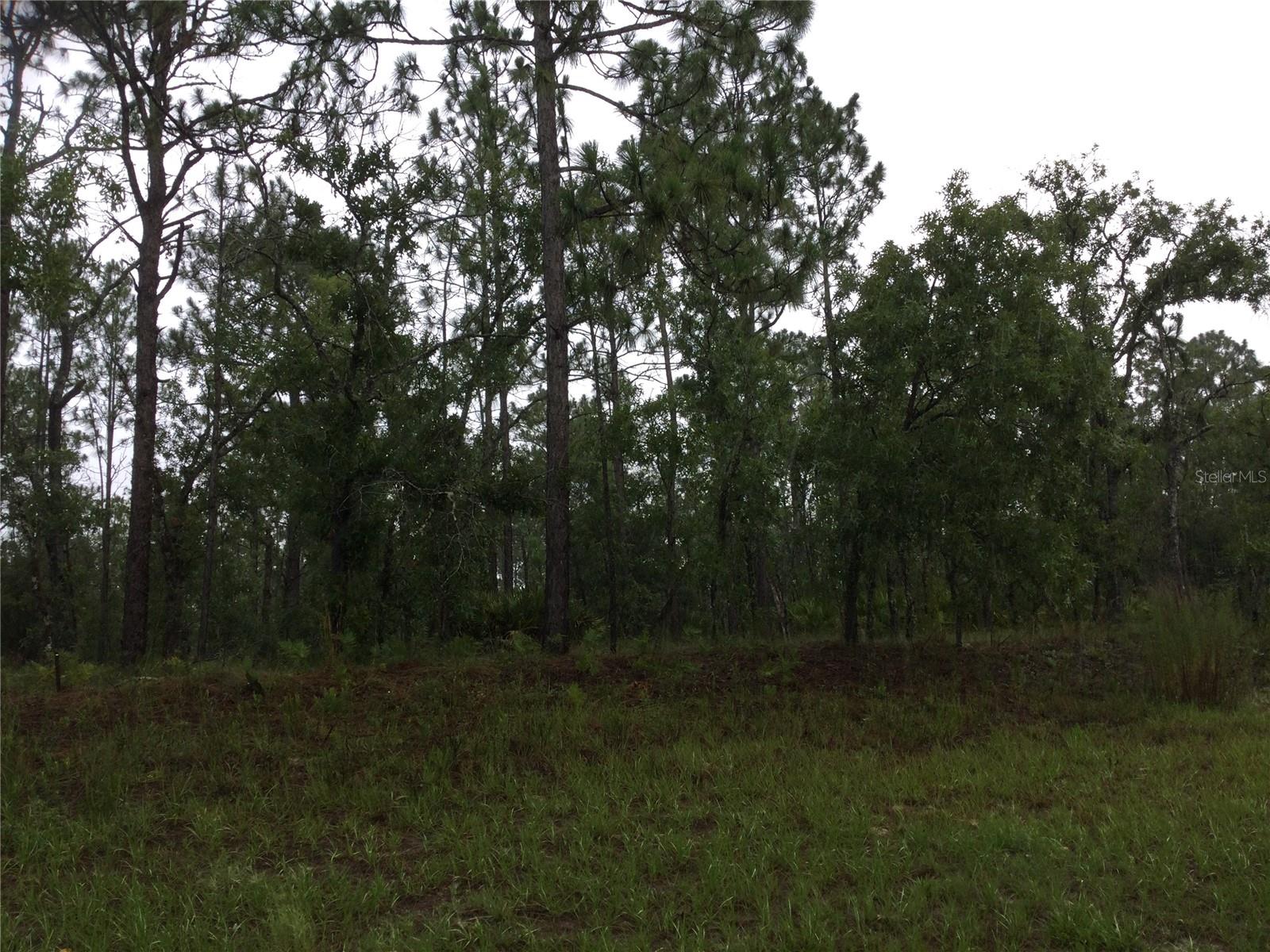 2191 W CITRUS SPRINGS BLVD, DUNNELLON, FL