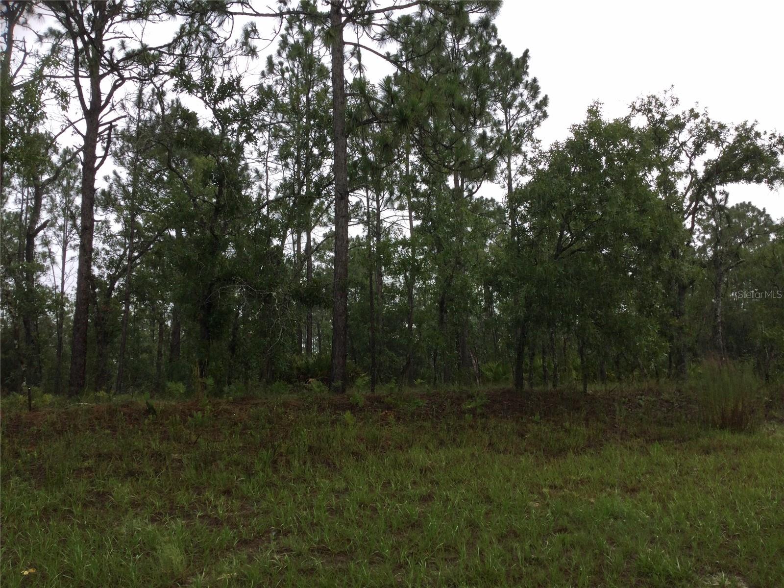 2191 W CITRUS SPRINGS BLVD, DUNNELLON, FL — photo 2