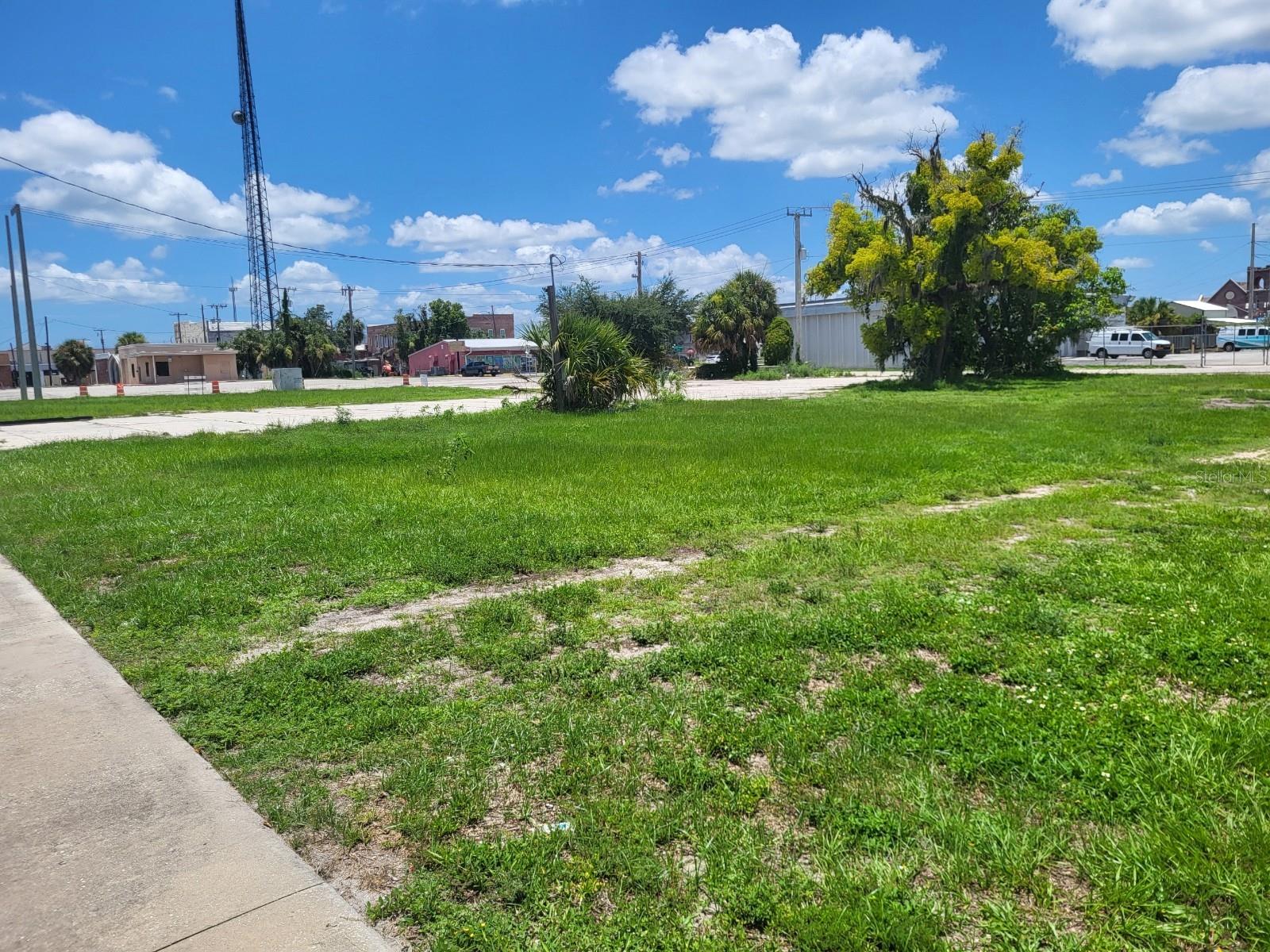 117 N BREVARD AVE, ARCADIA, FL