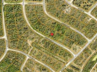 CRIMSONGLORY RD — photo 6