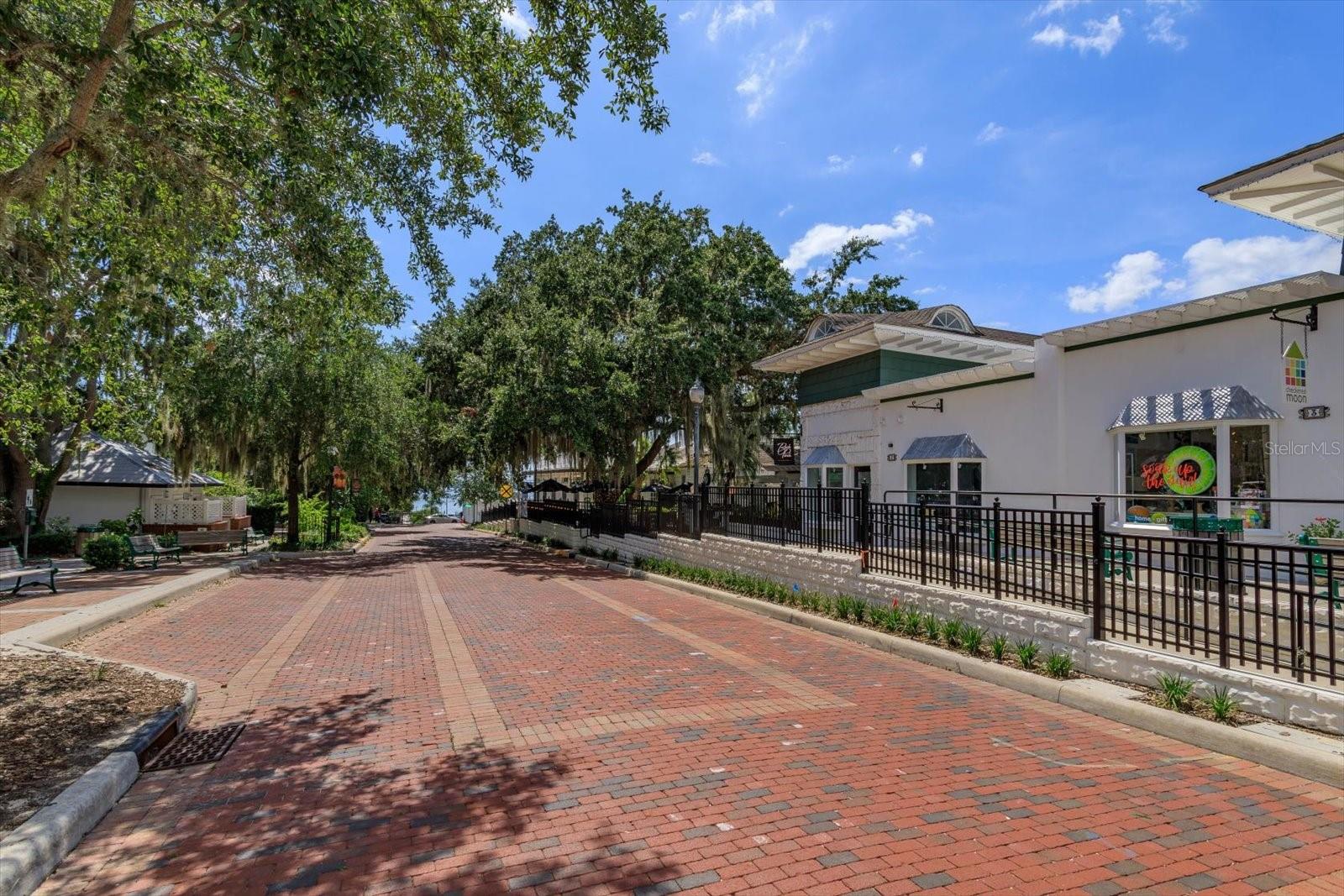 237 W 4TH AVE #2, MOUNT DORA, FL — photo 8