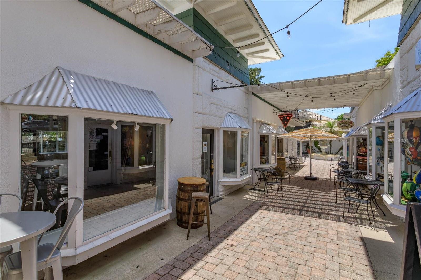 237 W 4TH AVE #2, MOUNT DORA, FL — photo 11