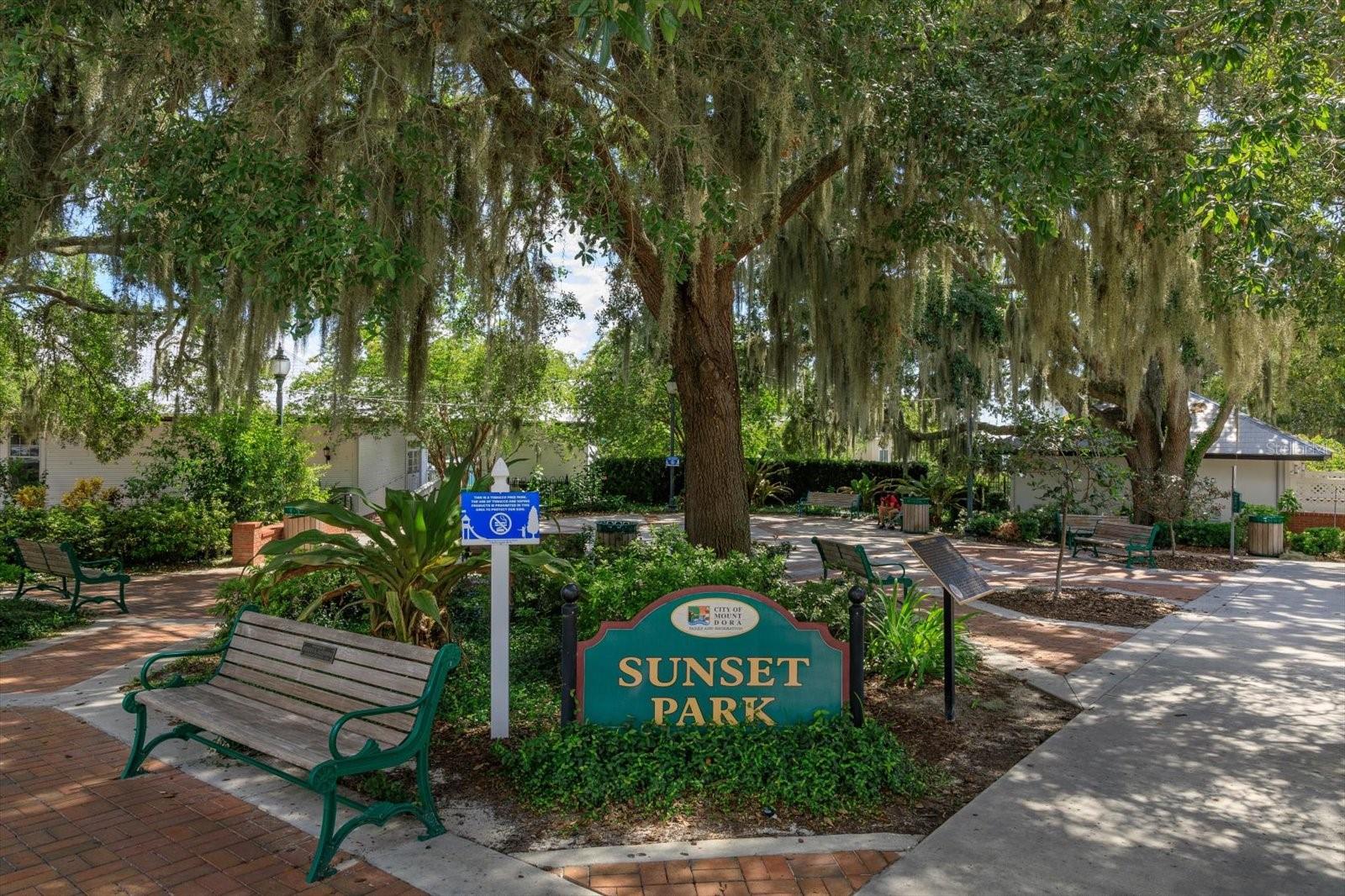 237 W 4TH AVE #2, MOUNT DORA, FL — photo 45