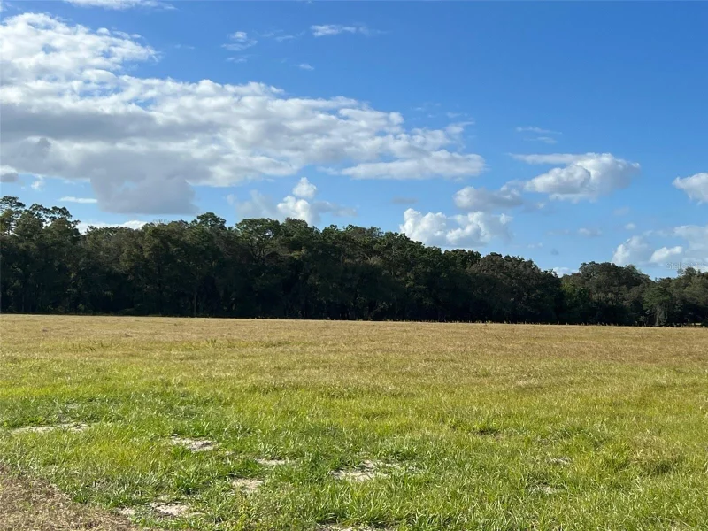 TBD SE 170 AVE RD #Tract A, OCKLAWAHA, FL