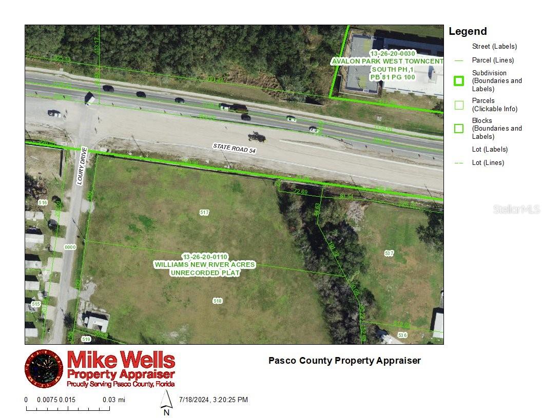 4240 LOURY DR, WESLEY CHAPEL, FL — photo 3