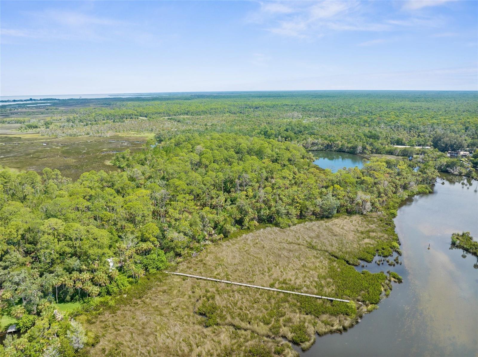 0 MARYS FISH CAMP RD, SPRING HILL, FL — photo 6