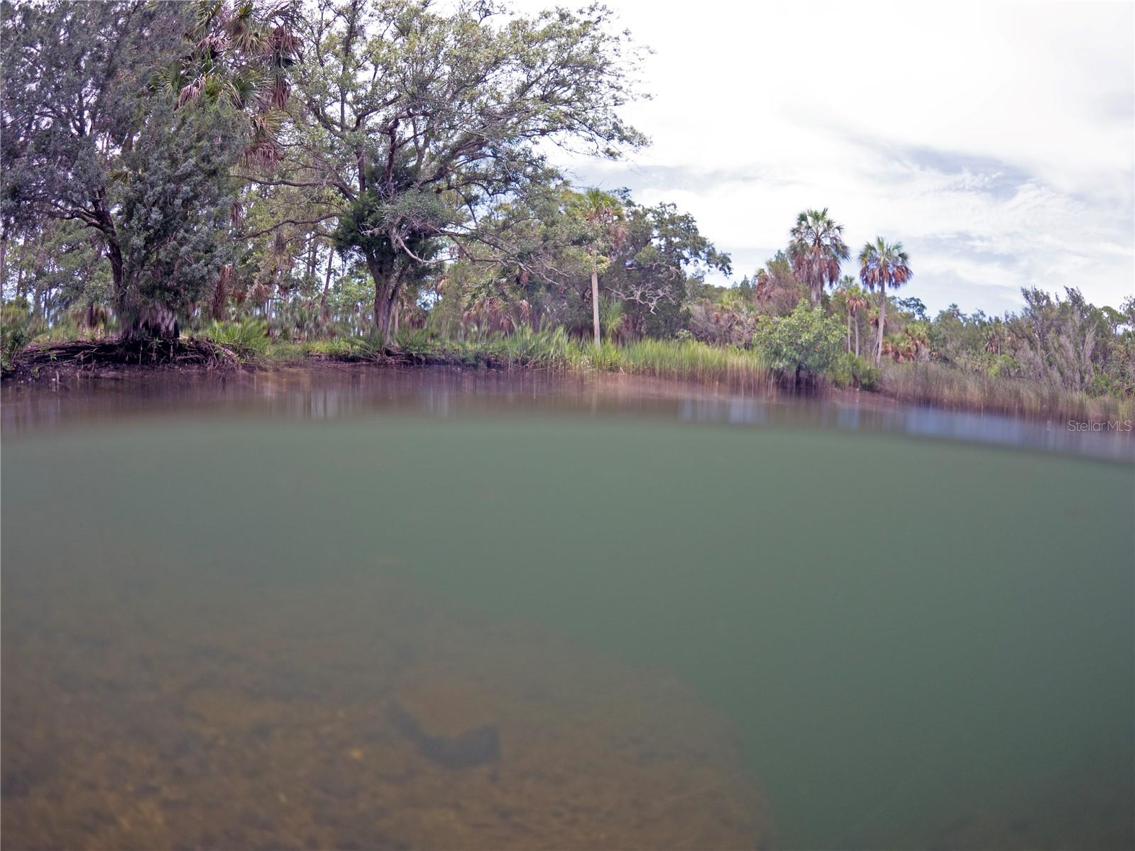 0 MARYS FISH CAMP RD, SPRING HILL, FL — photo 12