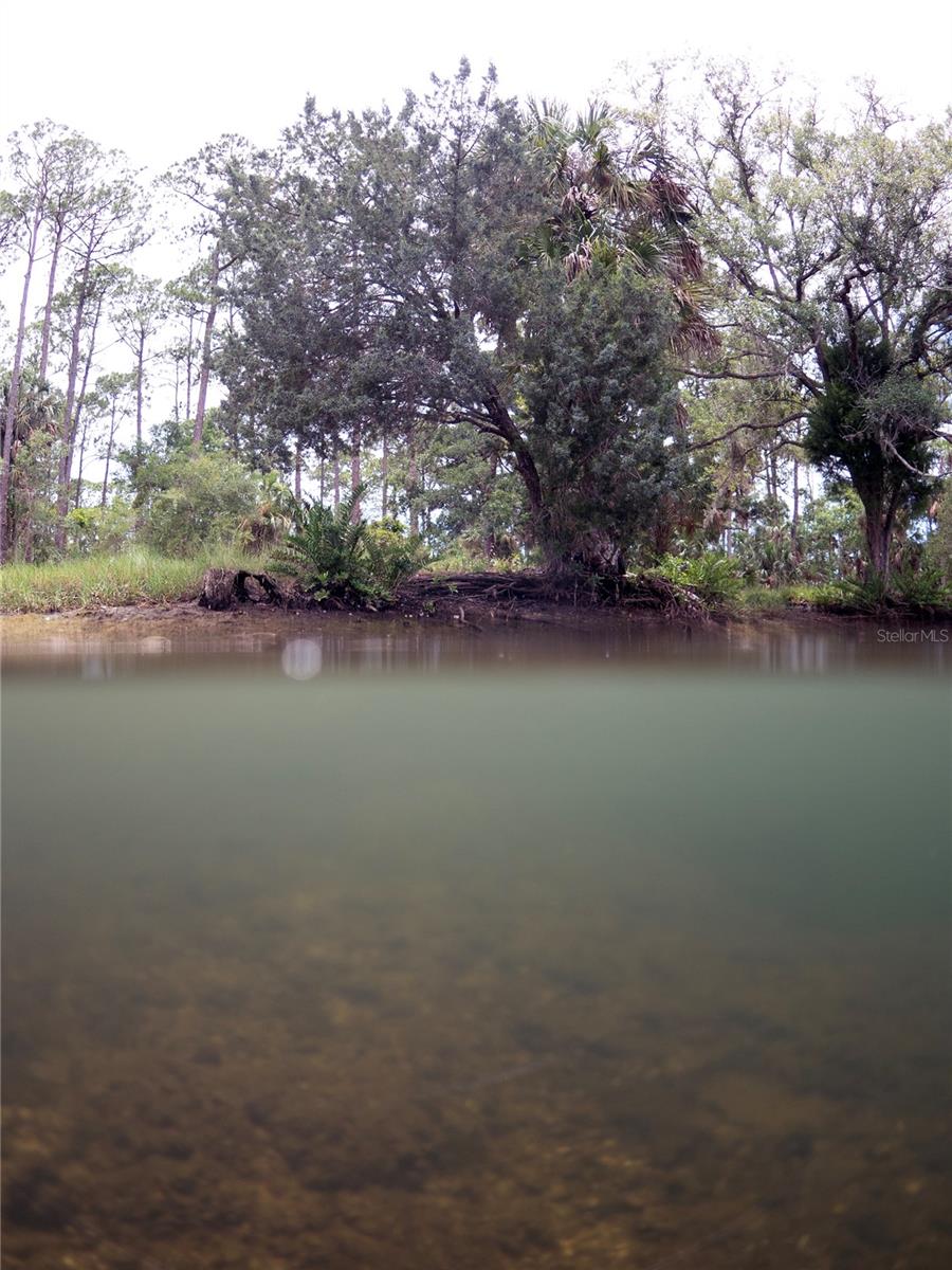 0 MARYS FISH CAMP RD, SPRING HILL, FL — photo 15