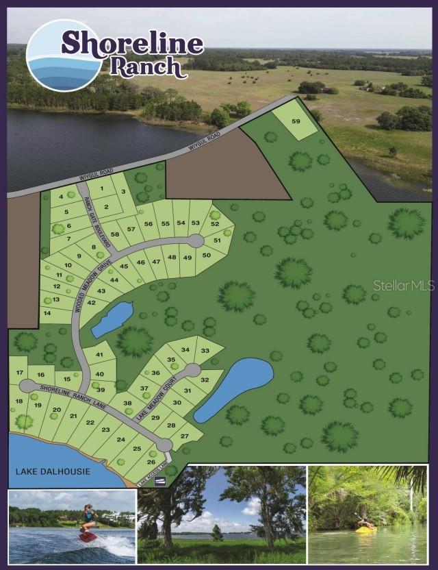 38521 WOODED MEADOW DR, UMATILLA, FL — photo 3