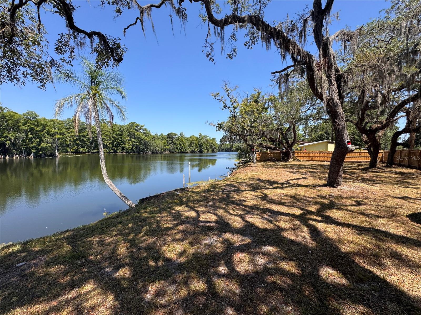 HARNEY, TAMPA, FL — photo 2