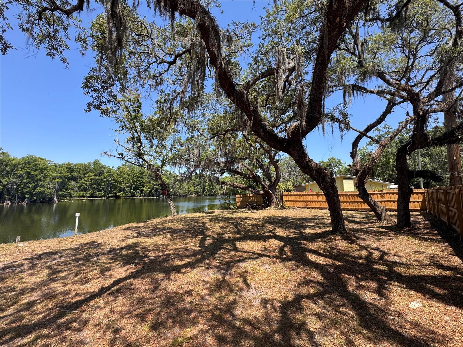 HARNEY, TAMPA, FL — photo 3