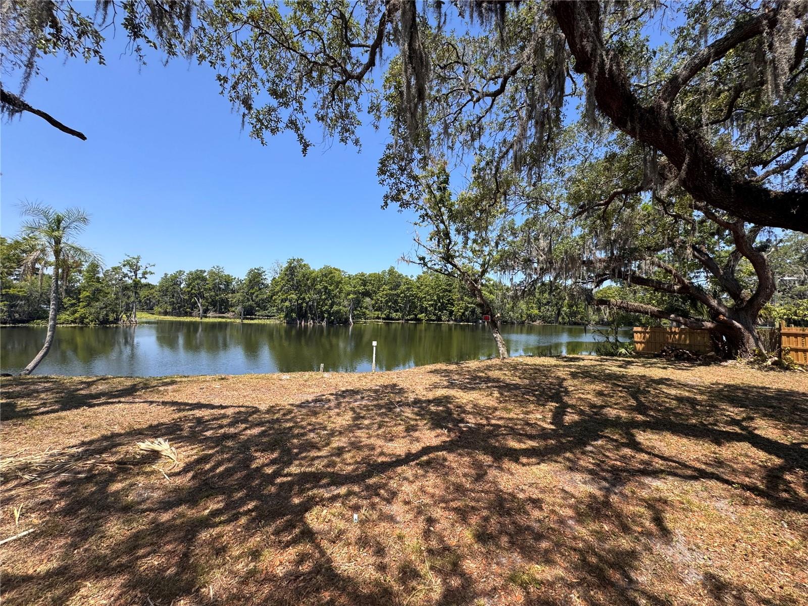 HARNEY, TAMPA, FL — photo 4