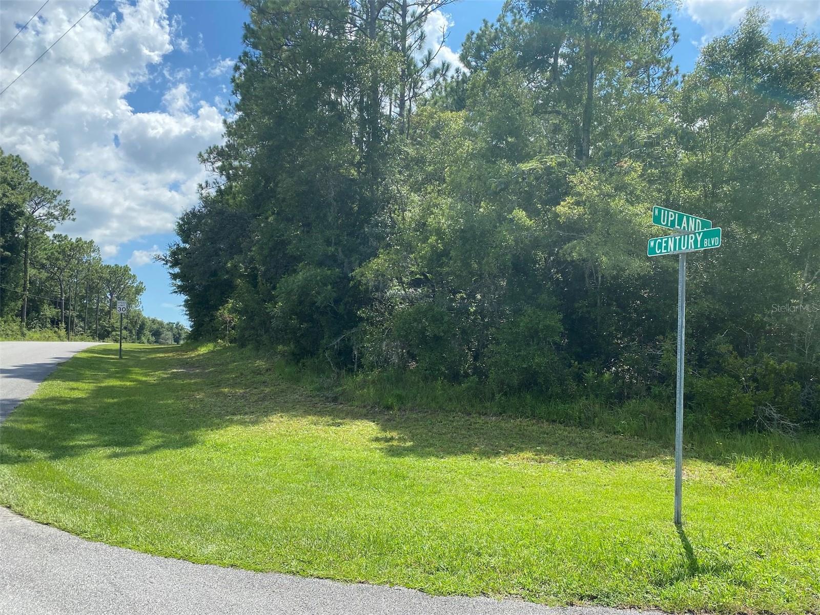 8739 N UPLAND DR, CITRUS SPRINGS, FL — photo 3
