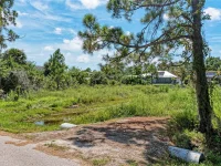 8185 DAFOE ST — photo 12
