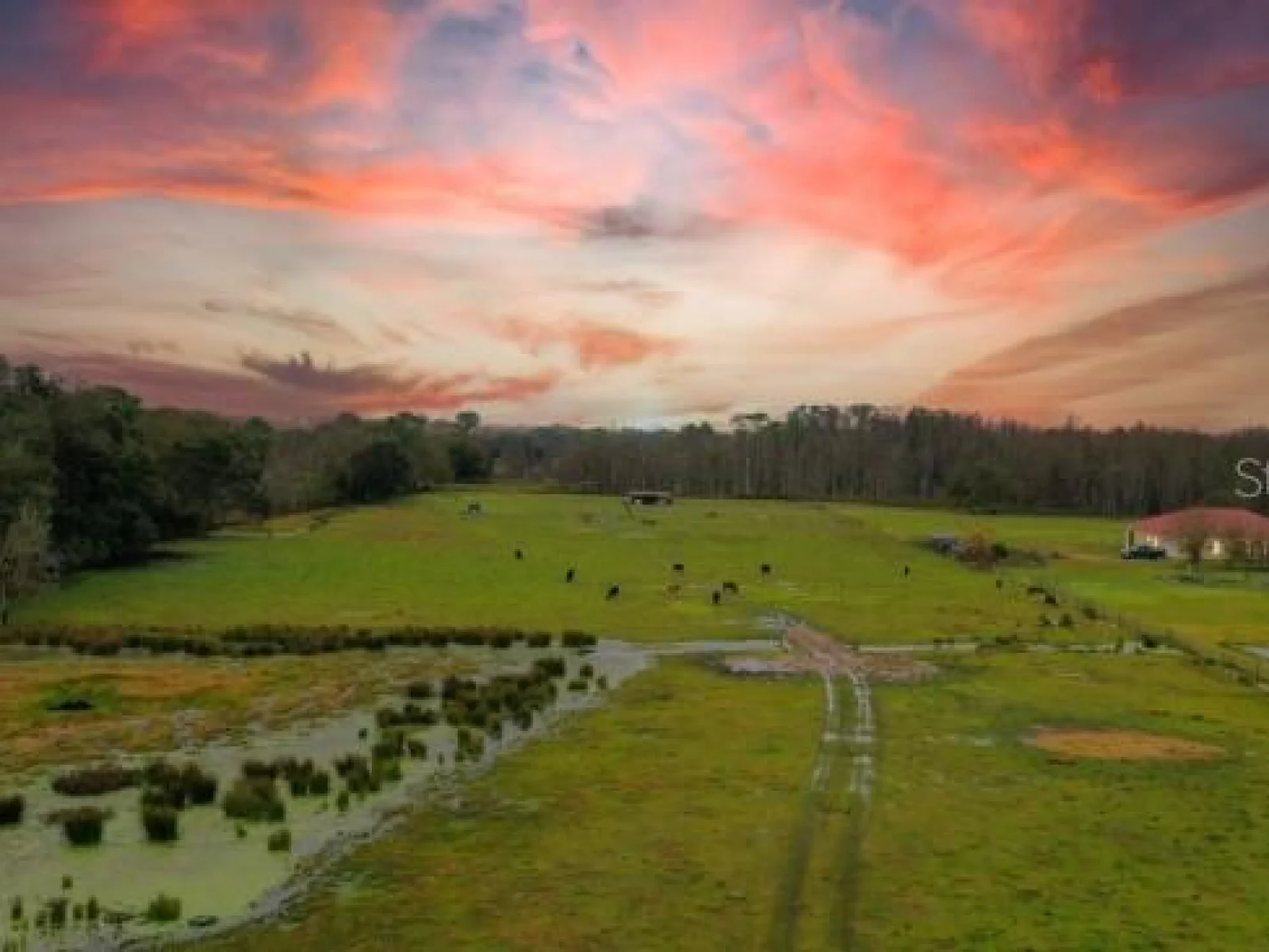 1850 SLOANS RIDGE ROAD, GROVELAND, FL — photo 2