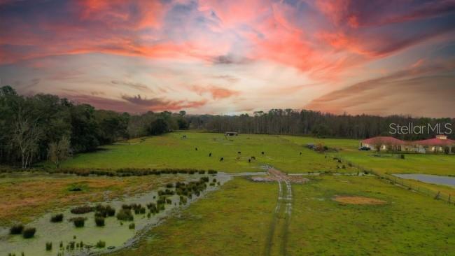 1850 SLOANS RIDGE ROAD, GROVELAND, FL