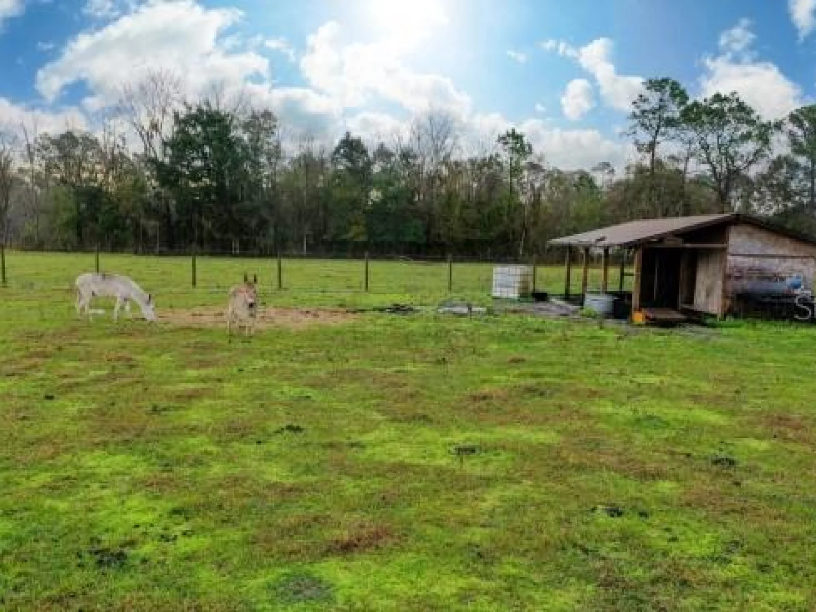 1850 SLOANS RIDGE ROAD, GROVELAND, FL — photo 4