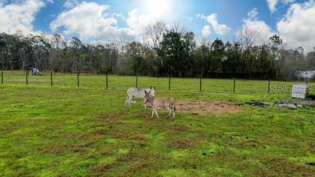 1850 SLOANS RIDGE ROAD, GROVELAND, FL — photo 7