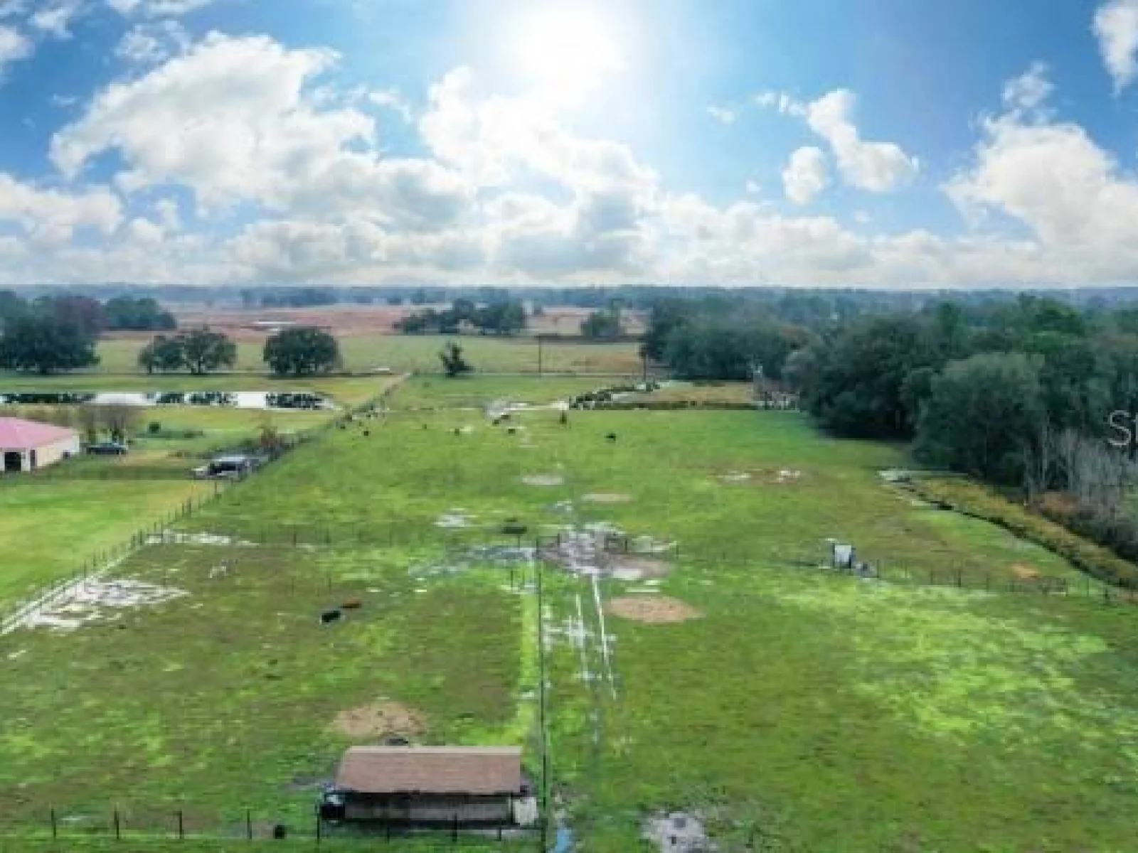 1850 SLOANS RIDGE ROAD, GROVELAND, FL — photo 12