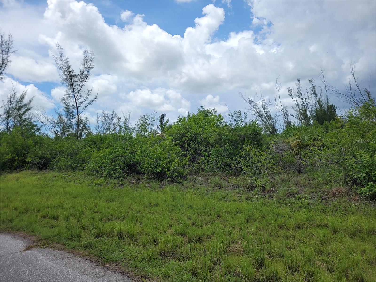 10136 AMY TER, PORT CHARLOTTE, FL — photo 3