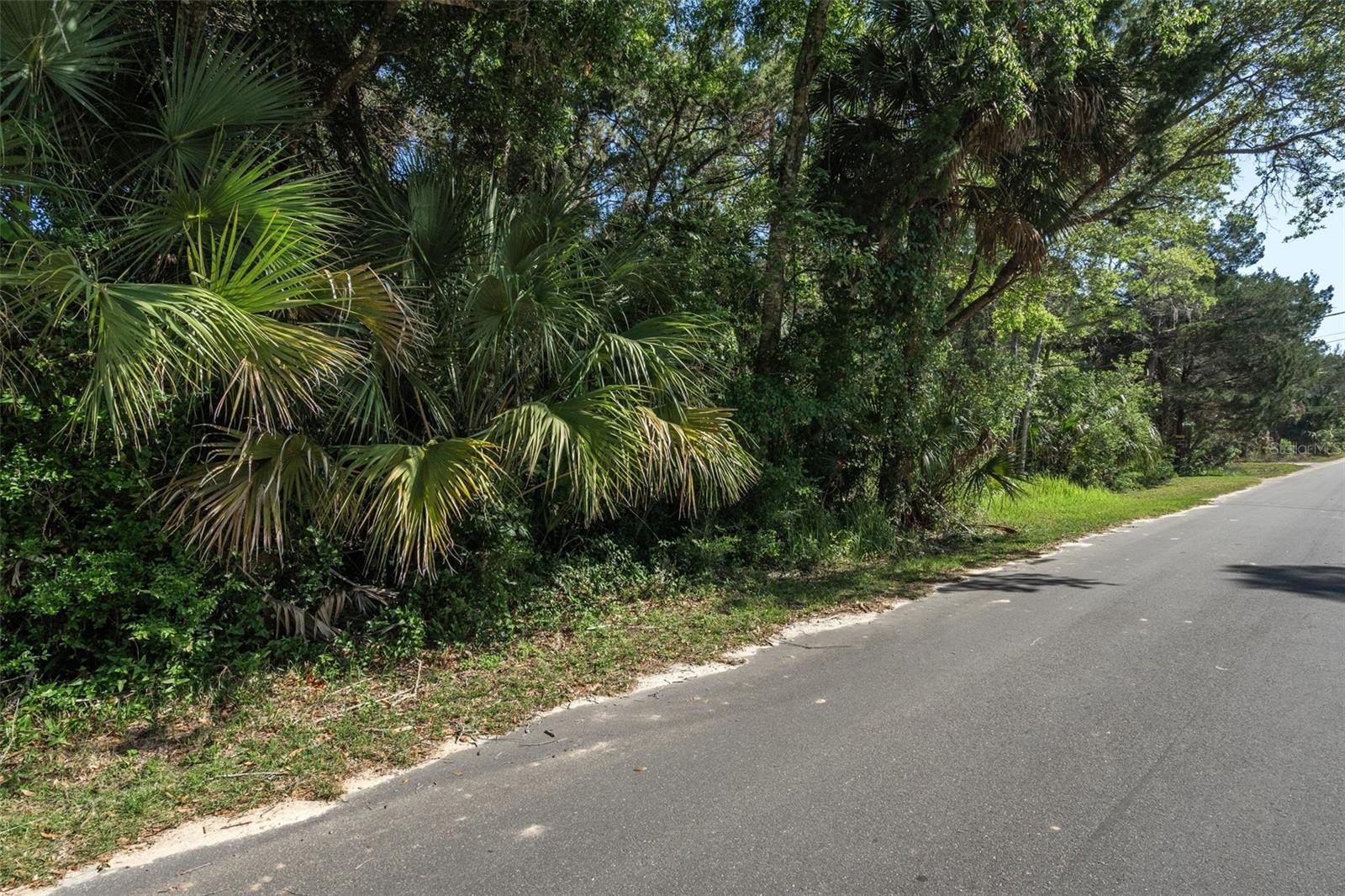 11681 W NORTH PL, HOMOSASSA, FL — photo 3