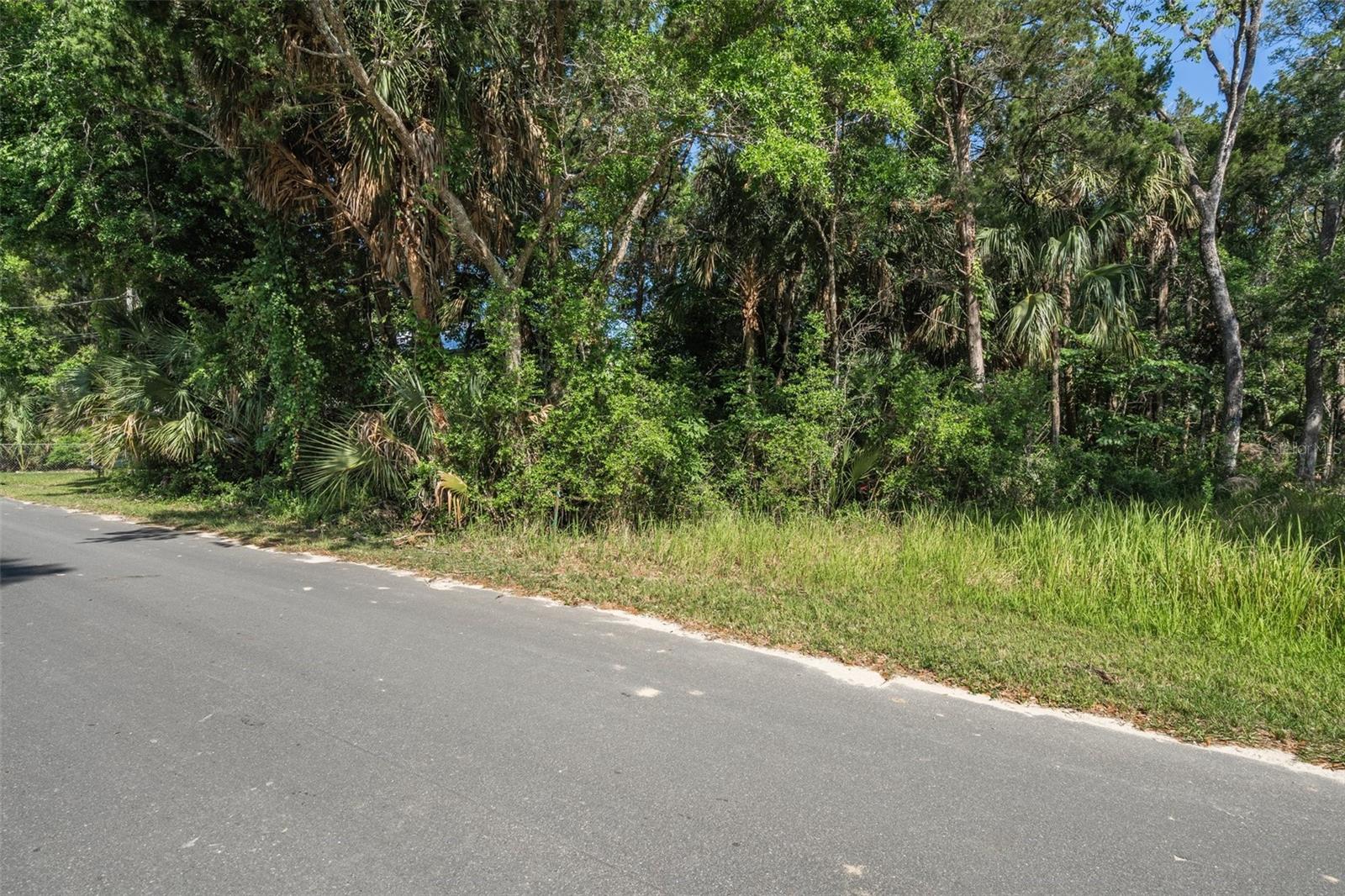 11681 W NORTH PL, HOMOSASSA, FL — photo 4