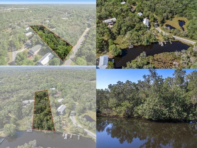 11681 W NORTH PL, HOMOSASSA, FL — photo 2