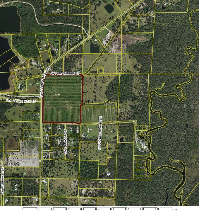9301 SW FT. WINDER ST, ARCADIA, FL