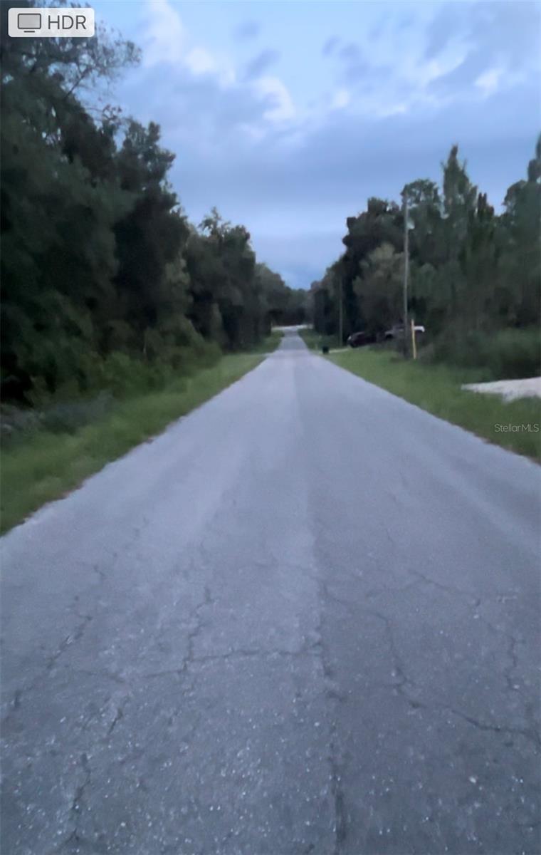Lot 20 NE 155TH CT, WILLISTON, FL — photo 4