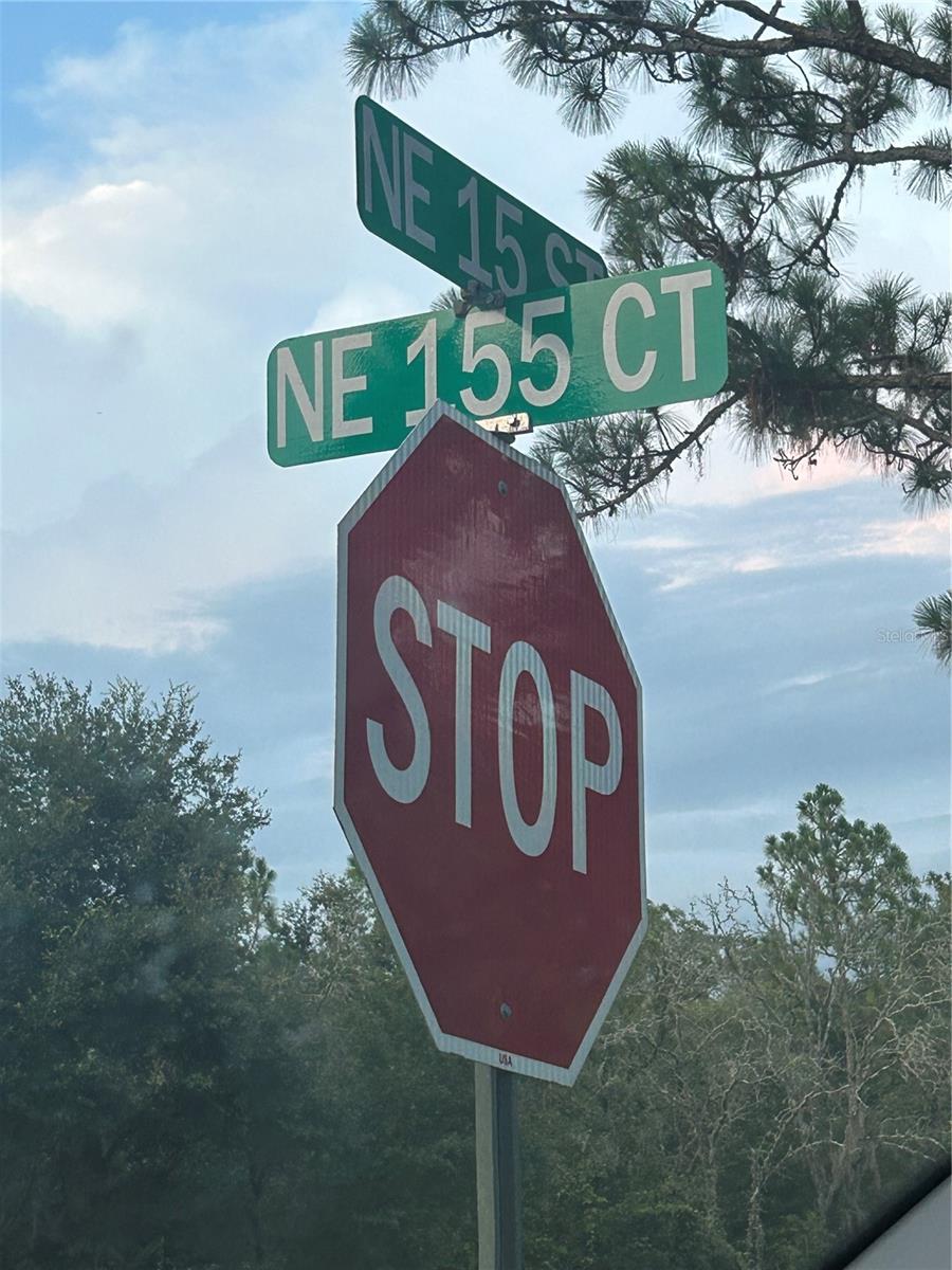Lot 20 NE 155TH CT, WILLISTON, FL