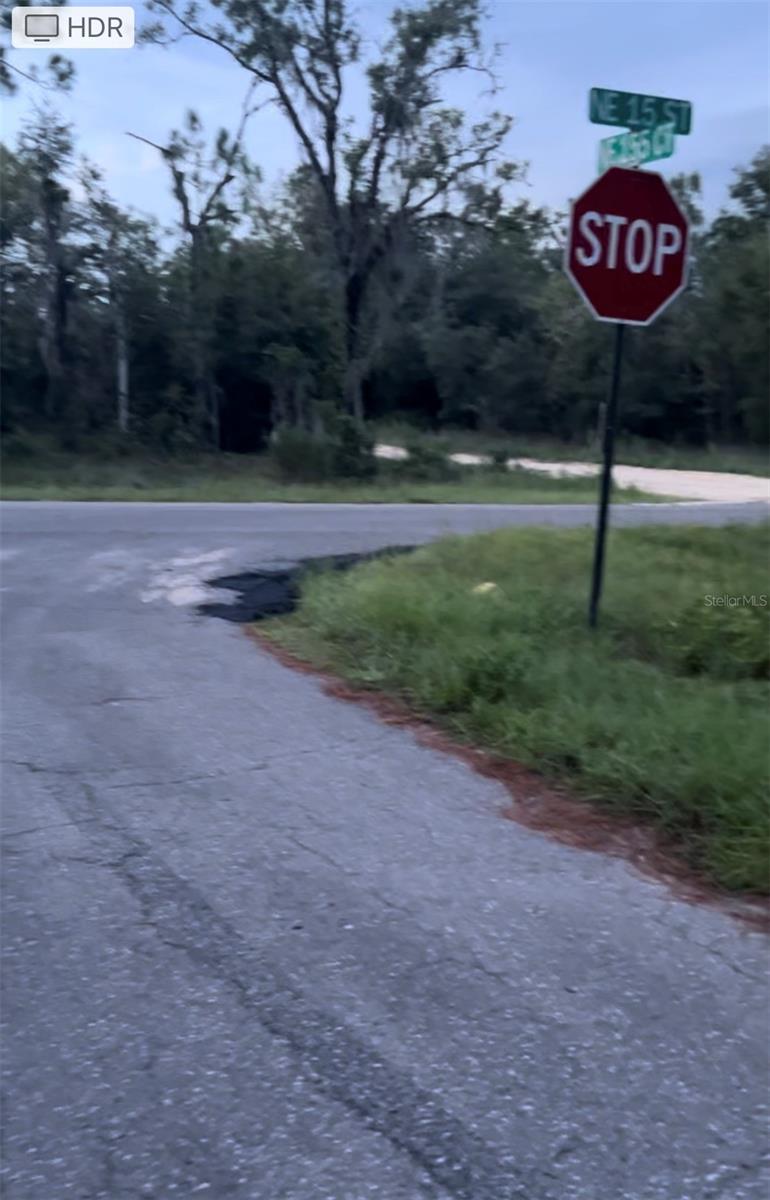 Lot 20 NE 155TH CT, WILLISTON, FL — photo 2